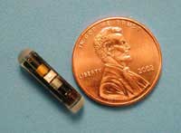 SMSI implantable glucose sensor 