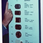 Early Telectronics pacemaker show board by Dr. Noel Gray. David Prutchi PhD www.implantable-device.com