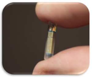 Implantable glass encapsulation David Prutchi PhD www.implantable-device.com